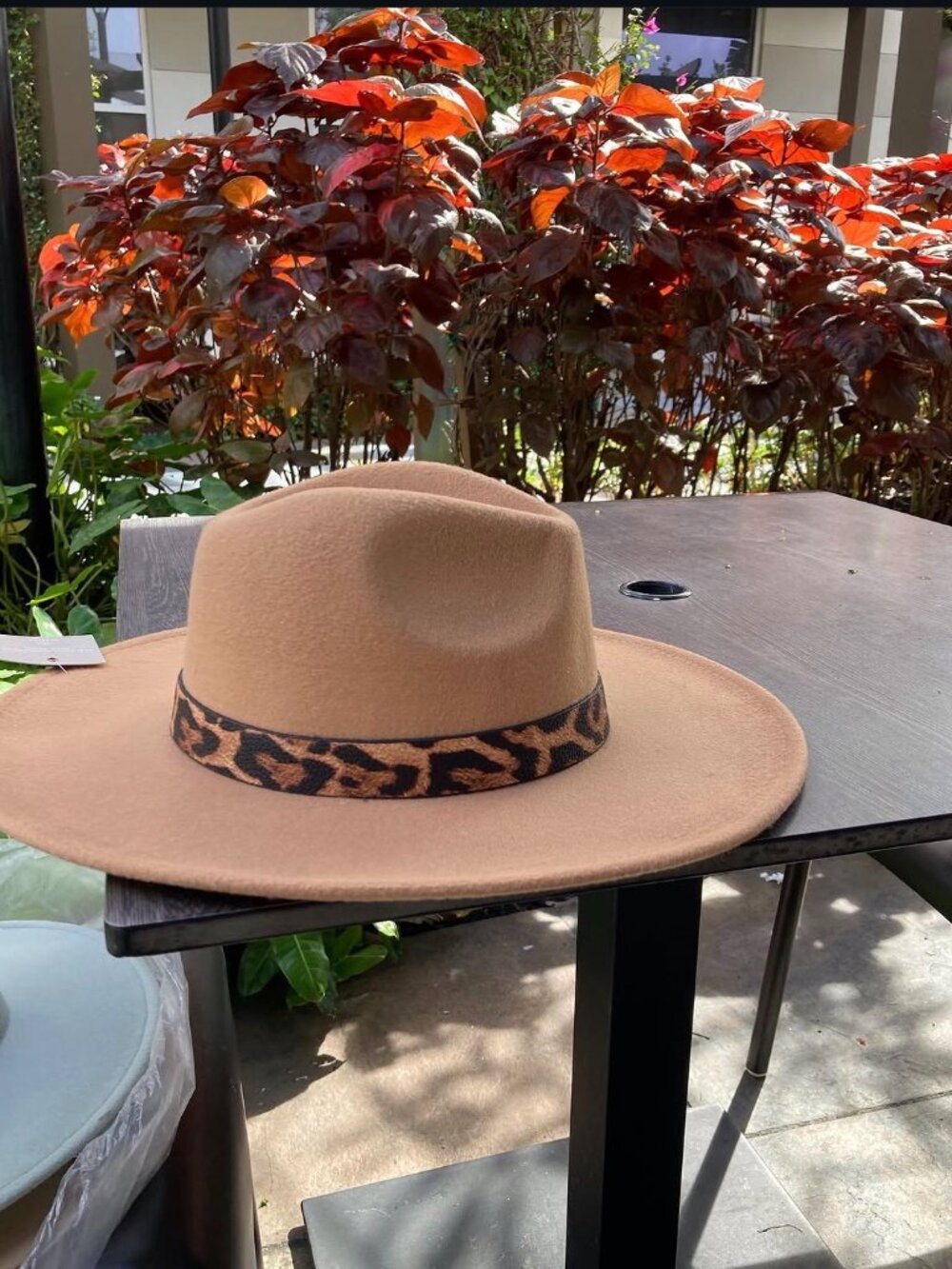 Taupe Fedora